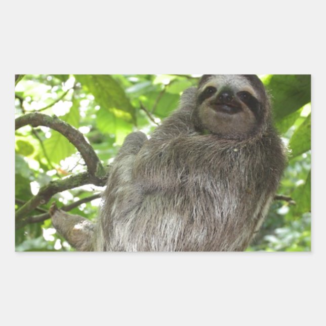 Pegatina Rectangular Lema relajado en la naturaleza (Anverso)