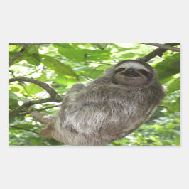 Pegatina Rectangular Lema relajado en la naturaleza