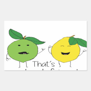 Pegatina Rectangular Lemon y Lime Best Friends BFF