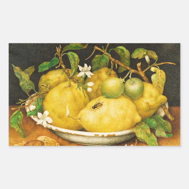 PEGATINA RECTANGULAR LEMONES DE FRUTAS DE TEMPORADA Y FLORES BLANCOS (Anverso)