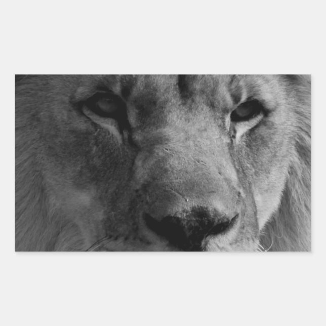 Pegatina Rectangular León blanco y negro (Anverso)