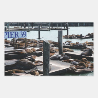Pegatina Rectangular Leones marinos Pier 39