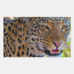Pegatina Rectangular Leopardo manchado