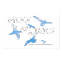 Libre como pájaro