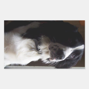 Pegatina Rectangular línea de enlace p2