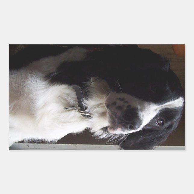 Pegatina Rectangular línea de enlace p2 (Anverso)