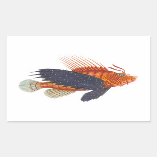 Pegatina Rectangular Lionfish - Pterois - grabado de la antigüedad de