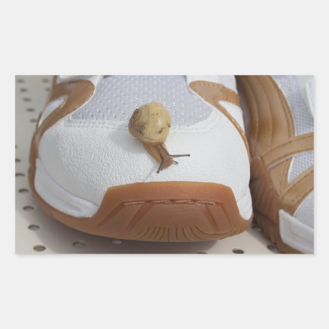 Pegatina Rectangular Listo Para La Carreras Del Caracol (Anverso)