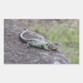 Pegatina Rectangular Lizard