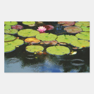 Pegatina Rectangular Lloto rosa en lluvia
