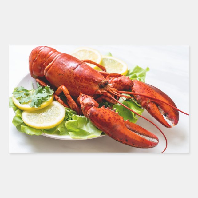 Pegatina Rectangular Lobster (Anverso)