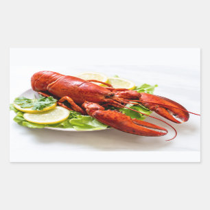 Pegatina Rectangular Lobster