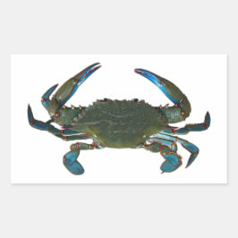 Pegatina Rectangular Logo de Atlantic Blue Crab