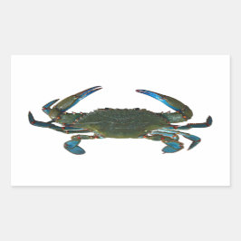 Pegatina Rectangular Logo de Atlantic Blue Crab