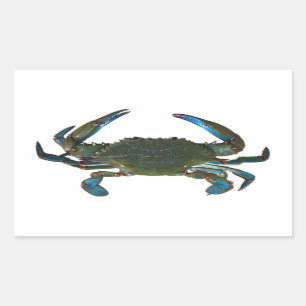 Pegatina Rectangular Logo de Atlantic Blue Crab