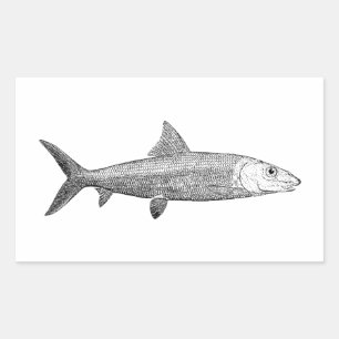 Pegatina Rectangular Logo de Bonefish