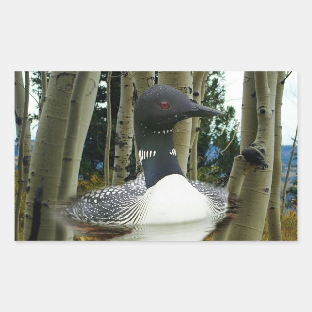 Pegatina Rectangular Loon Wilderness (Anverso)