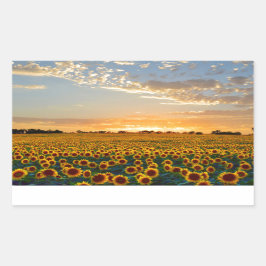 Pegatina Rectangular Los girasoles al atardecer
