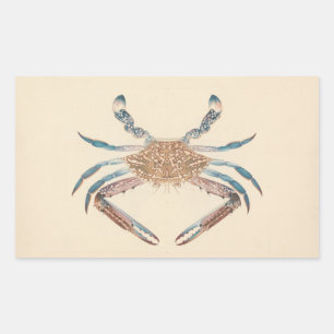 Pegatina Rectangular Luigi Balugani - Portunua Pelagicus - Cangrejo azu
