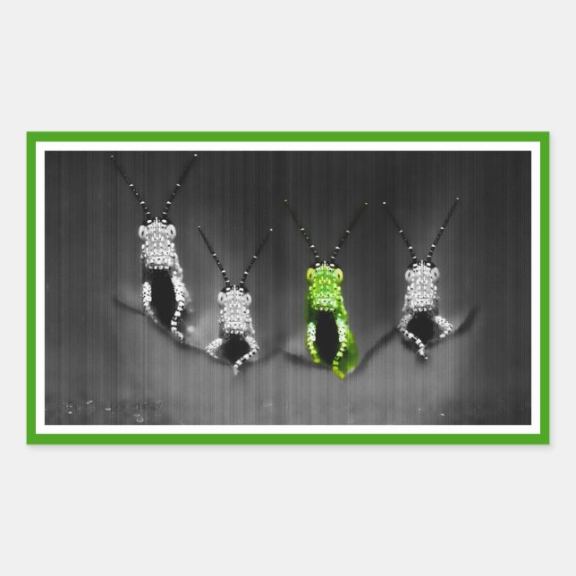 Pegatina Rectangular Lumpy Green Bug (Anverso)