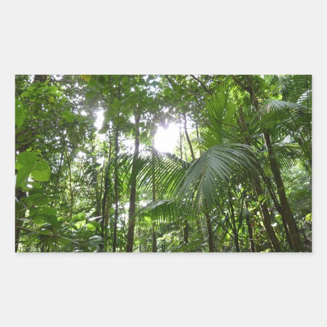 Pegatina Rectangular Luz solar a través de la selva tropical con cubier (Anverso)