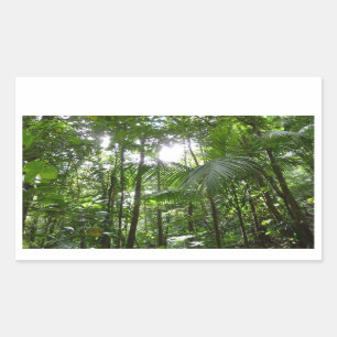 Pegatina Rectangular Luz solar a través de la selva tropical con cubier