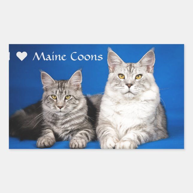 Pegatina Rectangular Maine Coons Cats (Anverso)