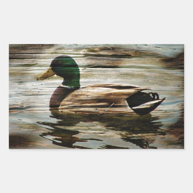 Pegatina Rectangular Mallard Duck (Anverso)