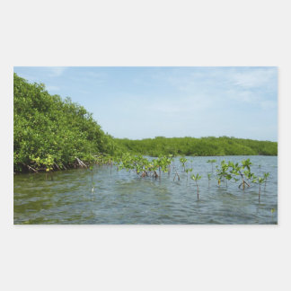 Pegatina Rectangular Manglares bebés en el Caribe