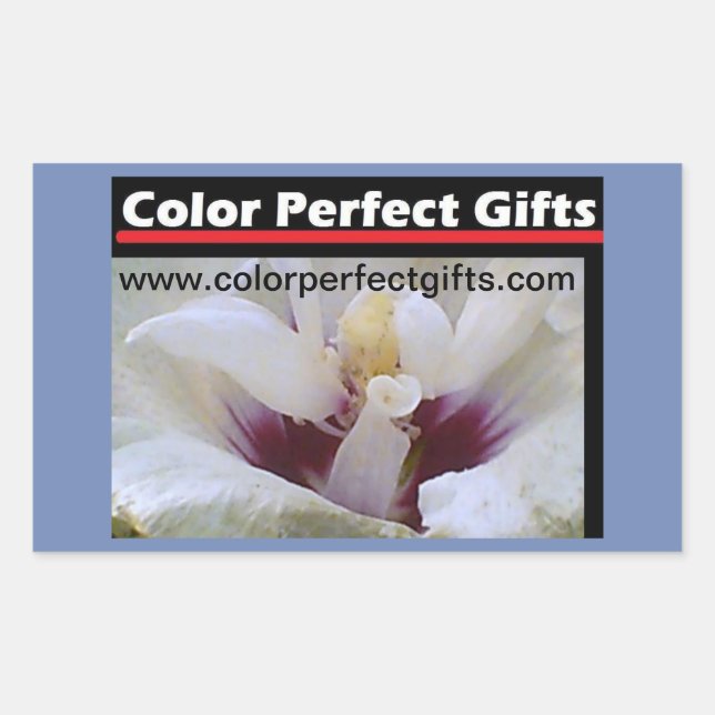 Pegatina Rectangular Manifestación de la rosa blanca (Anverso)