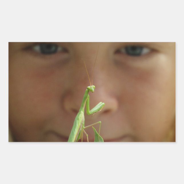 Pegatina Rectangular Mantis religiosa (Anverso)