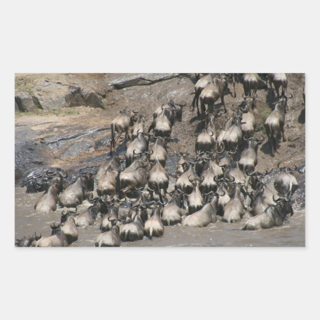 Pegatina Rectangular mara wilde beest (Anverso)
