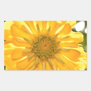 Pegatina Rectangular Marea amarilla floral amarilla amarilla