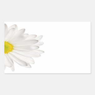 Pegatina Rectangular Margaritas modificadas para requisitos