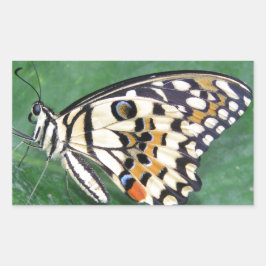 Pegatina Rectangular Mariposa amarilla negra y blanca en hojas