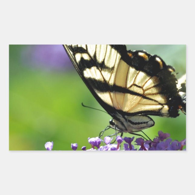 Pegatina Rectangular Mariposa amarilla y negra en Lavender (Anverso)