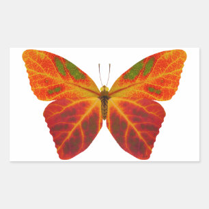 Pegatina Rectangular Mariposa Aspen Leaf 2