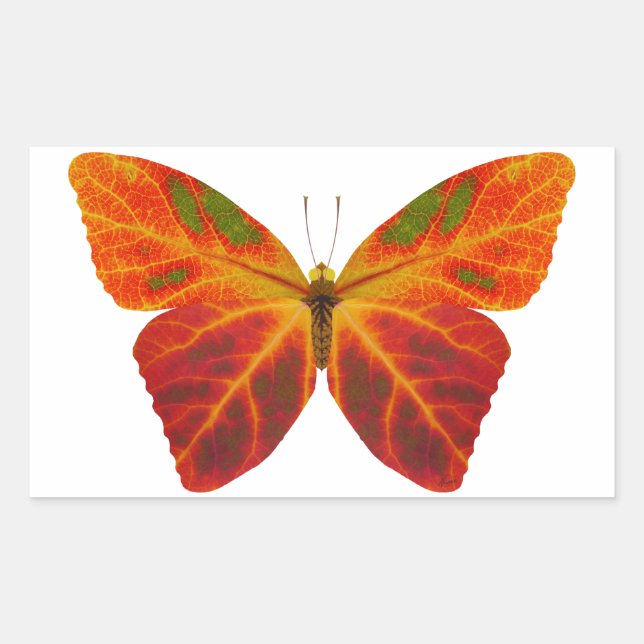 Pegatina Rectangular Mariposa Aspen Leaf 2 (Anverso)