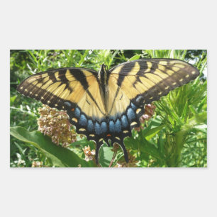 Pegatina Rectangular Mariposa cola de golondrina II en Shenandoah