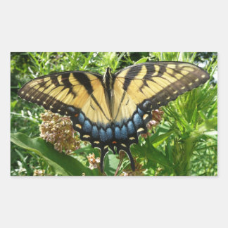 Pegatina Rectangular Mariposa de cola torta II en Shenandoah
