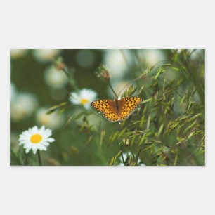Pegatina Rectangular Mariposa de Fritillary del Pacífico