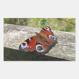 Pegatina Rectangular Mariposa de pavo real