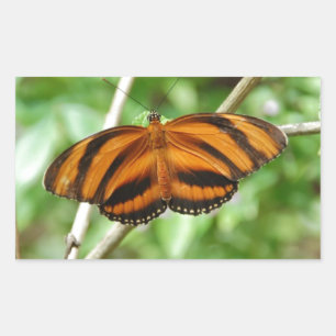Pegatina Rectangular Mariposa de tigre