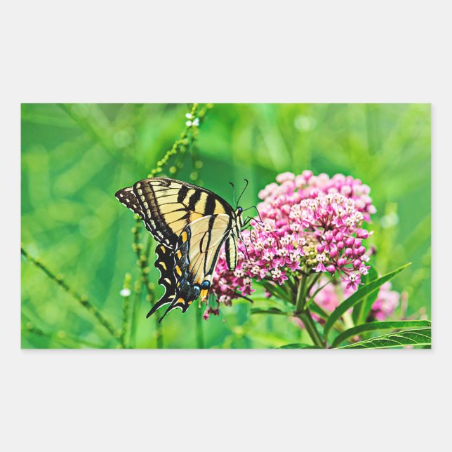 Pegatina Rectangular Mariposa del este de Swallowtail del tigre (Anverso)