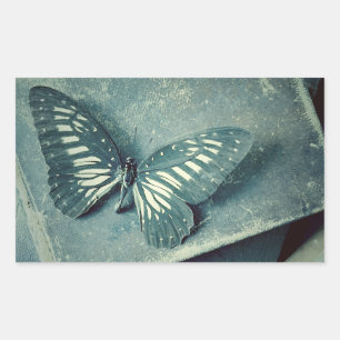 Pegatina Rectangular Mariposa en libros antiguos