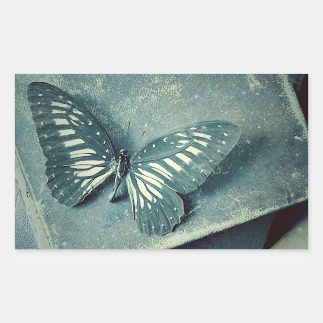 Pegatina Rectangular Mariposa en libros antiguos (Anverso)