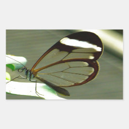 Pegatina Rectangular Mariposa marrón blanca y translúcida