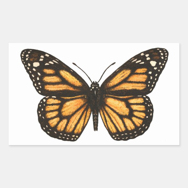 Pegatina Rectangular Mariposa monarca (Anverso)