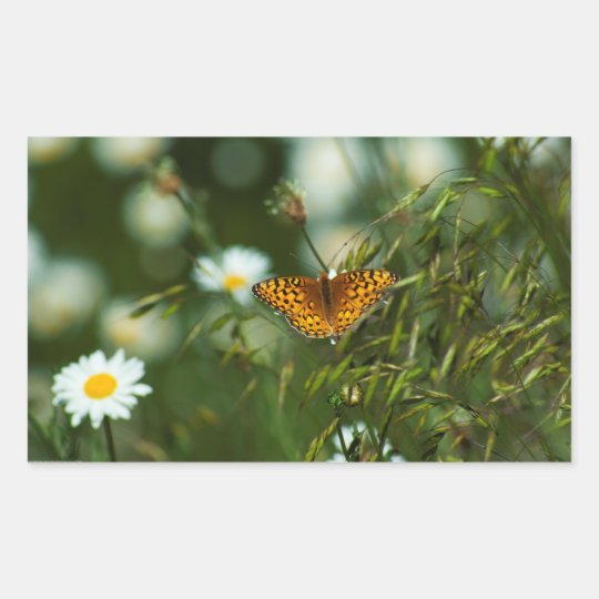 Pegatina Rectangular Mariposa pacífica del Fritillary