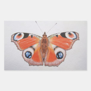 Pegatina Rectangular Mariposa Peacock 2012